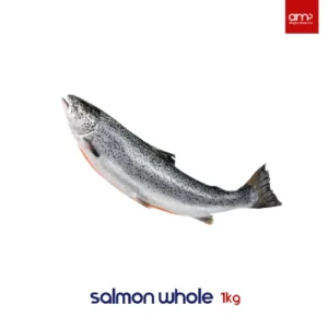 Salmon Whole – Ikan Salmon Utuh, Segar & Berkualitas Premium