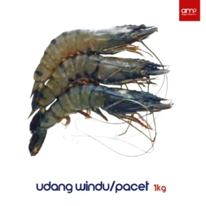 Udang Windu 1kg – Udang Premium, Segar & Berdaging Tebal